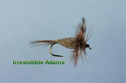 Irresistable Adams
